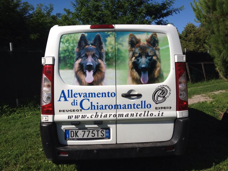 Deco automezzi